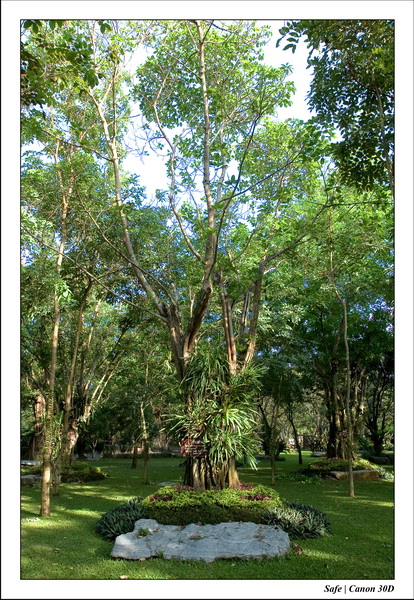 2006 - 08 - Pattaya - Crocodile farm parc 11